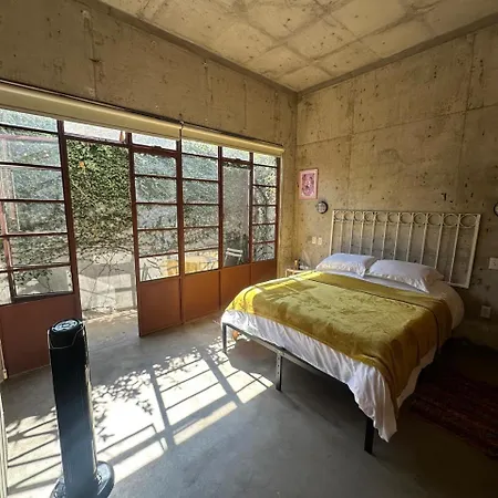 Stylish Apartment In Chapultepec